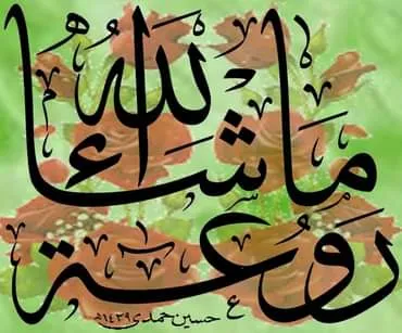 معرض الصور — 11