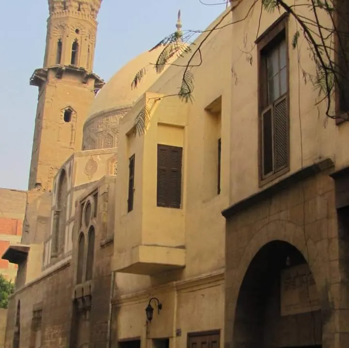 معرض الصور — 19