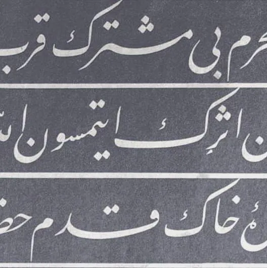 معرض الصور — 25