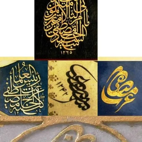 معرض الصور — 26