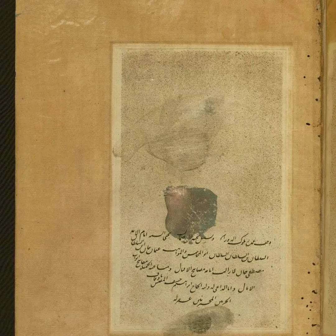 معرض الصور — 43
